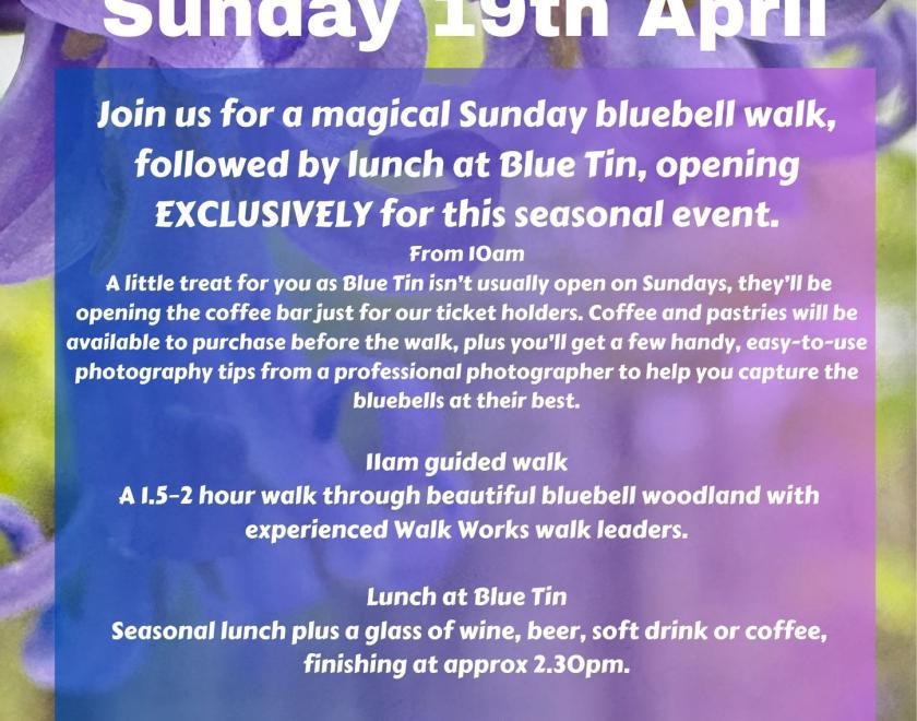 Bluebell Walk & Lunch from Blue Tin