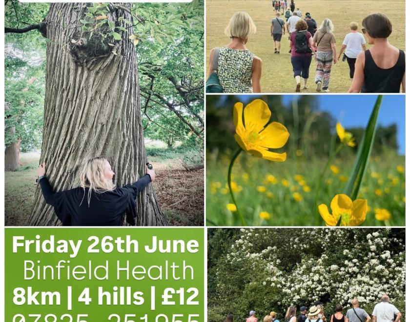 Walk Works Friday 26th June, Binfield Heath 6km
