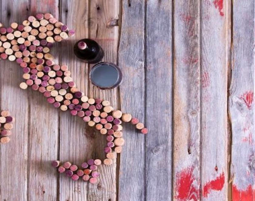 Discover the wines of Italy- North Italy!