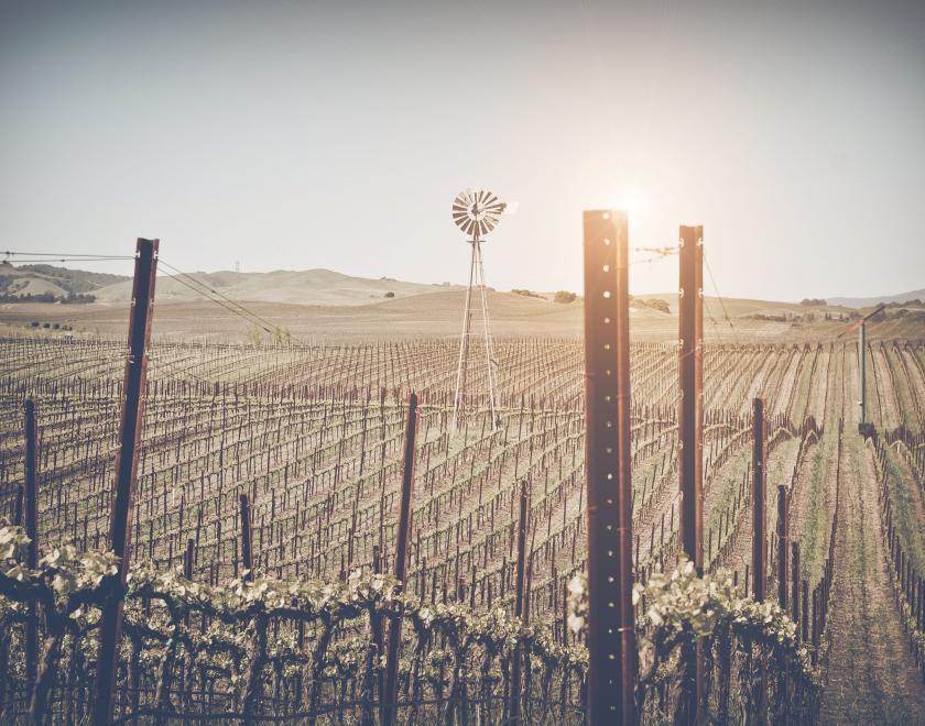 Napa
