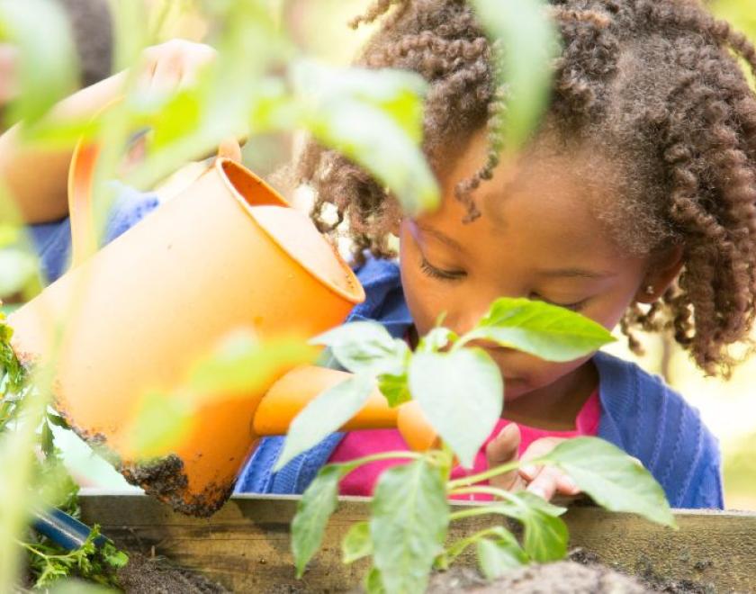 Child watering garden