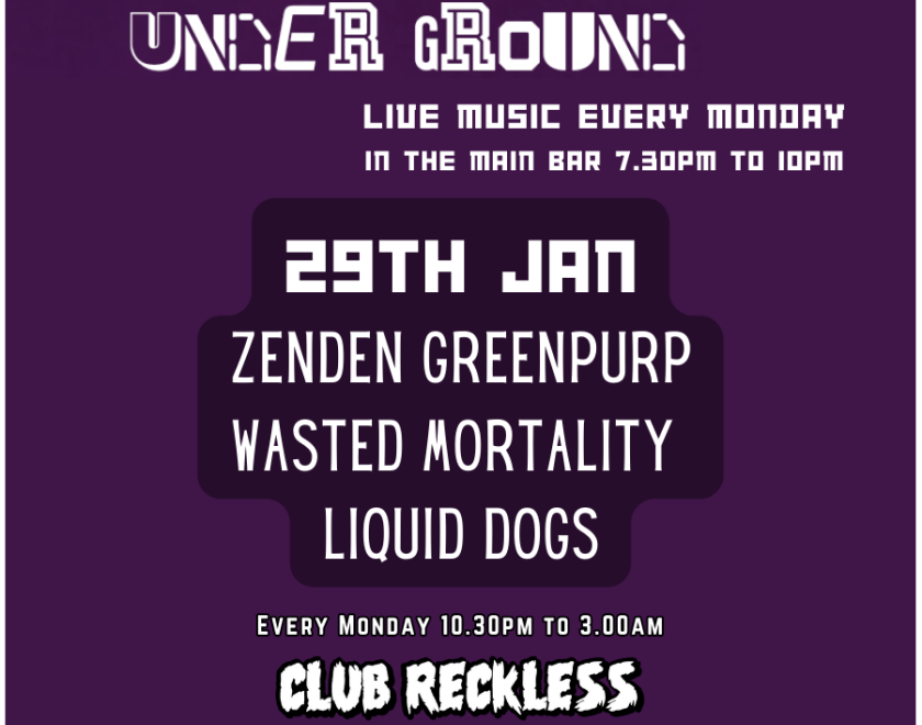 The Turtle Underground is a weekly Monday night event at The Purple Turtle. 3 Original local bands from Reading and the surrounding areas.