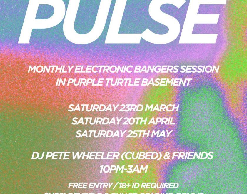 PULSE...  A New Night @ The Turtle with Pete Wheeler  Monthly Electronic Bangers in The Turtle Basement