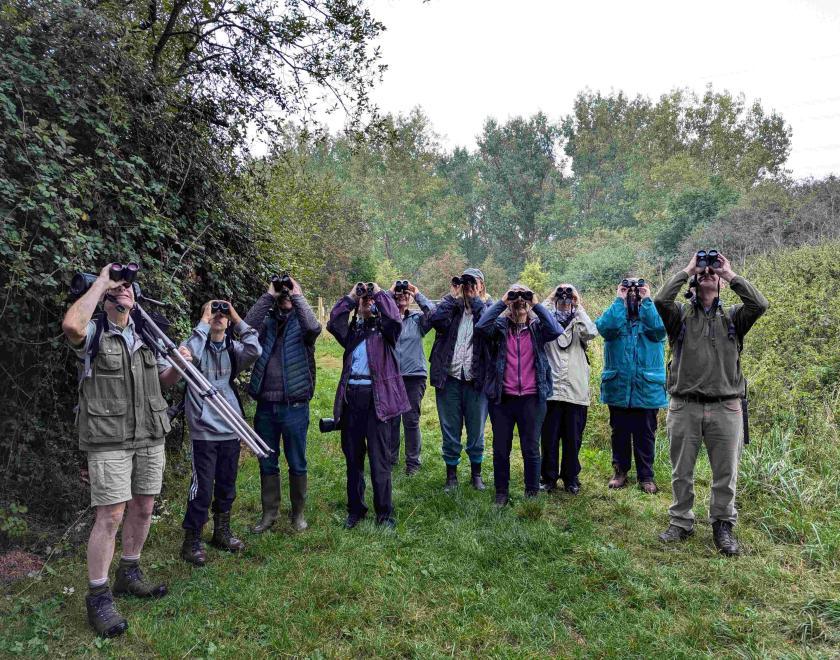 A BOC field trip - a mixed group of birders looking up through binoculars