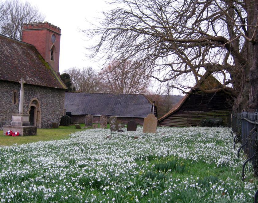 Frilsham St Frideswide churchyard with an abundance of snowdrops