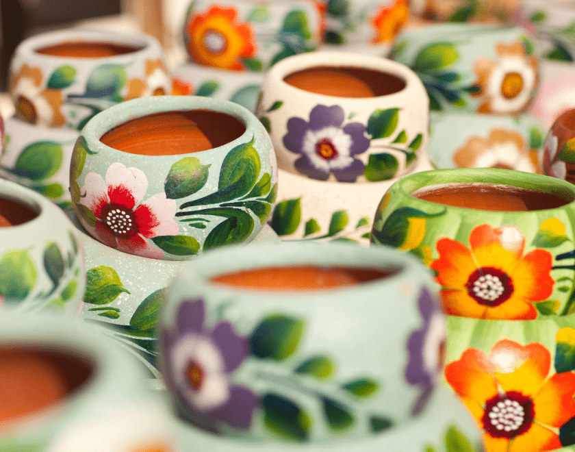 Colourful ceramic pots with flowers
