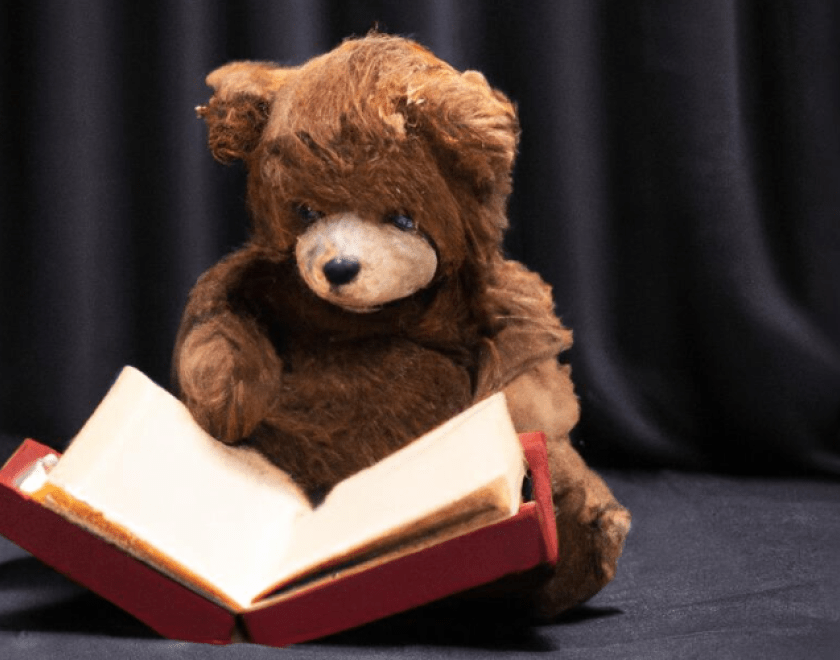 A brown teddy bear reading a book