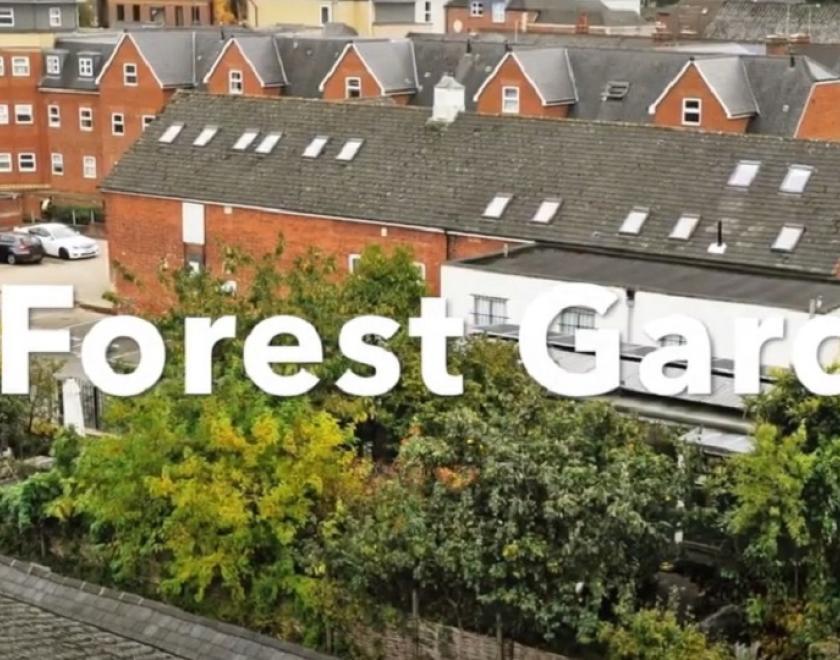 Image of Forest Garden