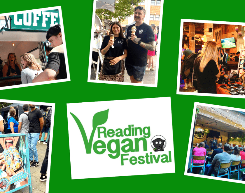 Reading Vegan Festival 2024