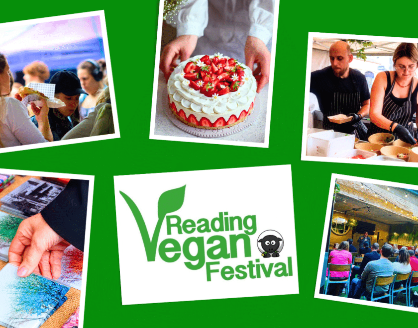 Montage of photos and the Reading Vegan Festival logo