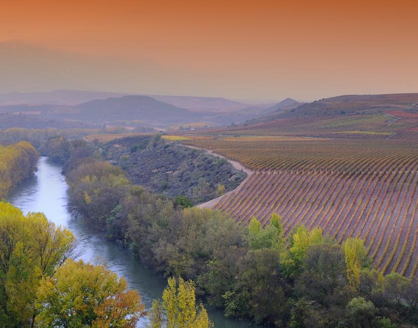 Wines of Rioja