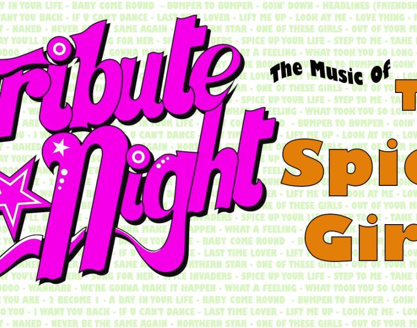 Tribute Night: Spice Girls logo