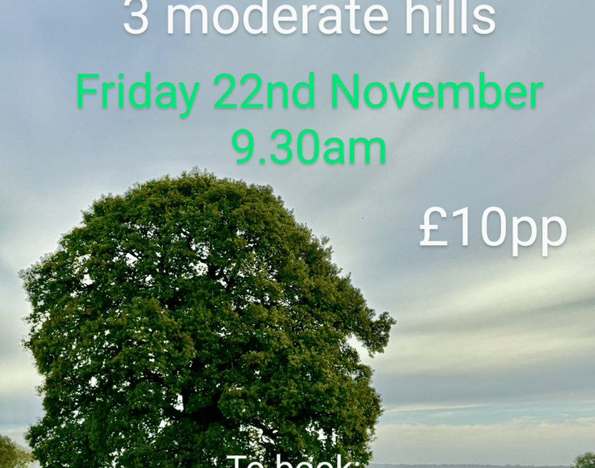 Poster 22nd November. Walk Works Henley Distillery 7km