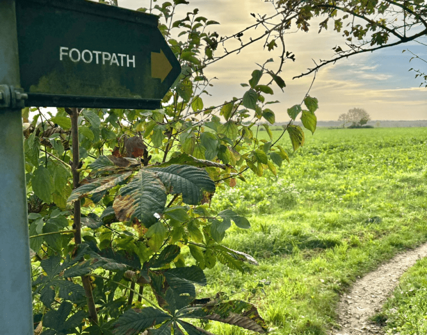 Guided walk, Friday 27th March from Caversham