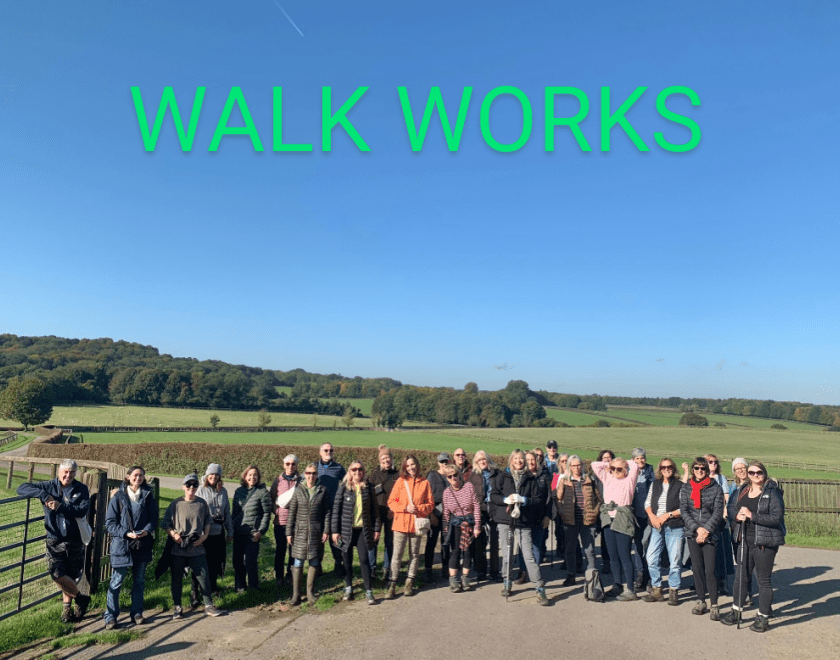 Walk Works guided walk 13th December, Woodcote