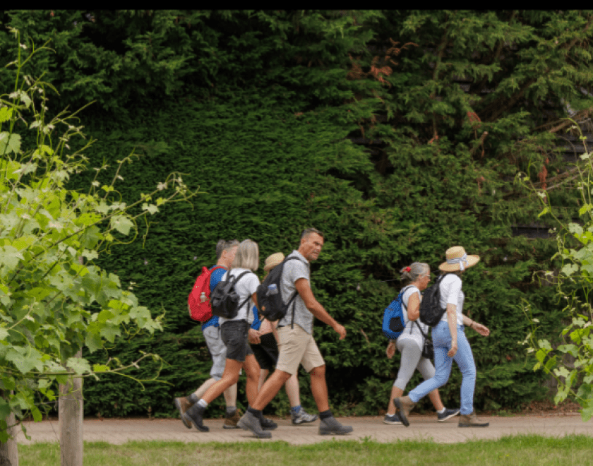 Walk Works Henley Vineyards Trail - from Fairmile to Oaken Grove