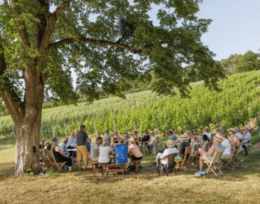 Walk Works Henley Vineyards Trail - from Fairmile to Oaken Grove