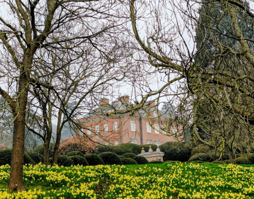 Spring guided walk with Walk Works