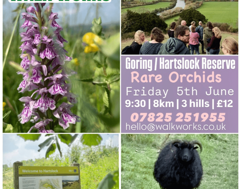 Walk Works guided walk in Goring, 5th June, 9.30am