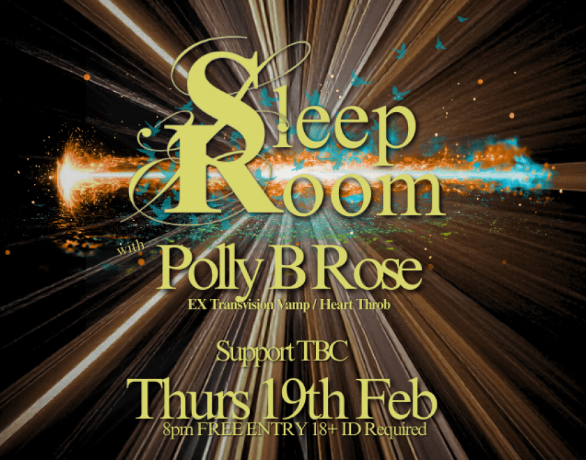 Reading's Sleep Room at The Purple Turtle  with Polly B Rose (Ex Transvision Vamp/Heart Throb)  FREE ENTRY