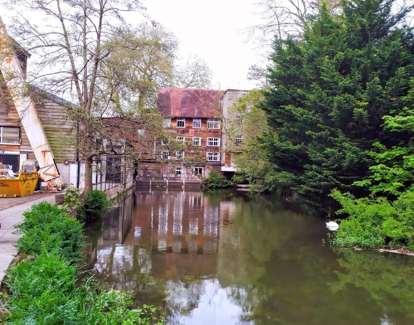 houses beside water