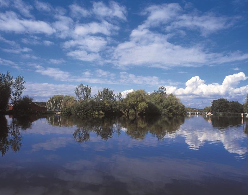 water with trees in background