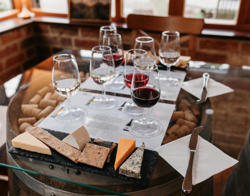 Wine and cheese tasting