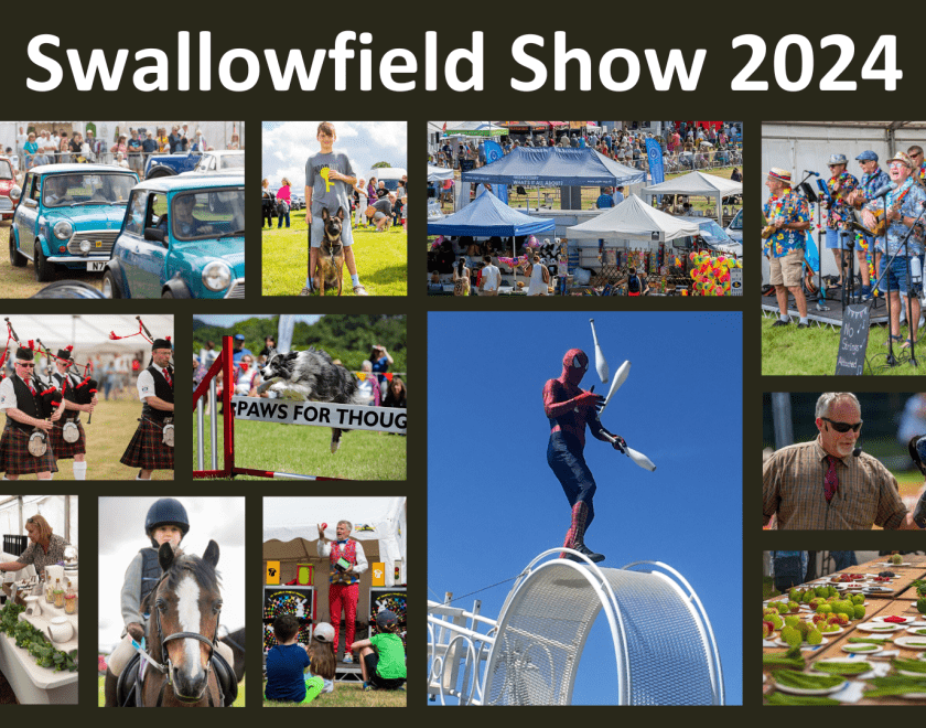 Montage of images from previous Swallowfied Shows, showing different events, stalls and activities