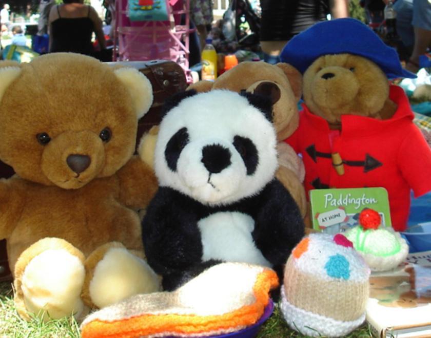 Reading Museum's Teddy Bears Picnic