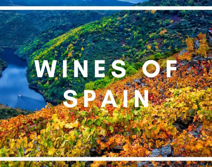 Slopes of Vines along a river, with bold white text "Wines in Spain"