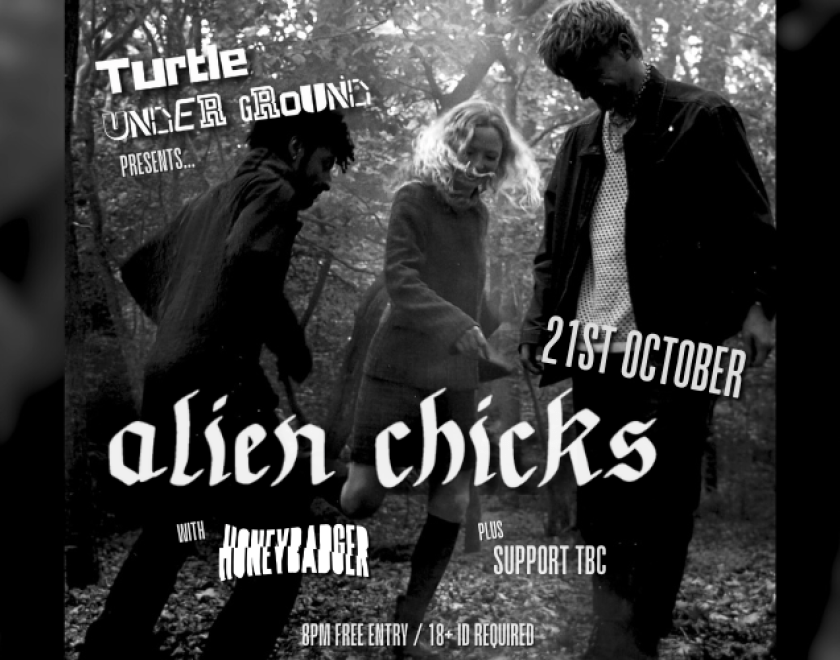 Turtle Underground Presents...  Alien Chicks - experimental post-punk power trio from Brixton. Their songs are a twisted fairy tale of modern Britain- a surreal social commentary packed with punchy rhythms, eclectic time signatures and nostalgic harmonies.  Support from Honeybadger Brighton based three piece garage punk band Honeybadger : heavy guitar riffs, melodic solos and gritty grungy vocals!  SUPPORT TBC  7.30pm FREE ENTRY / 18+ ID Required