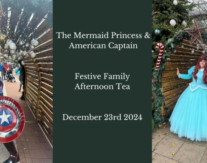 The image is of the Mermaid Princess and the American Captain