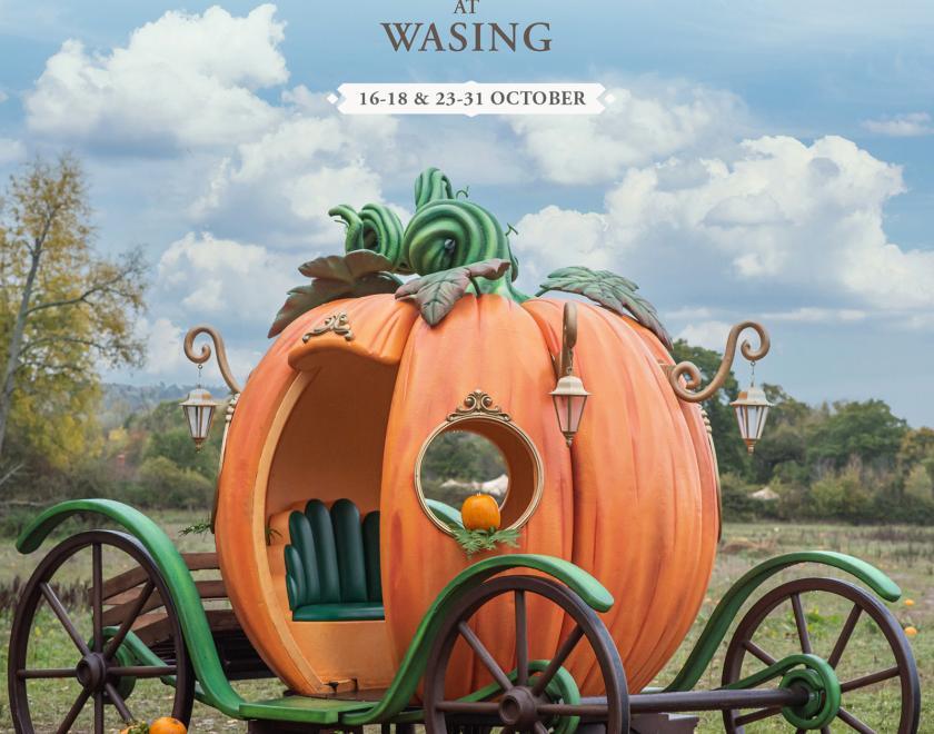 Poster for Pick Your Own Pumpkins and Woodland Trail 2026 with a photo of a carriage that looks like a pumpkin