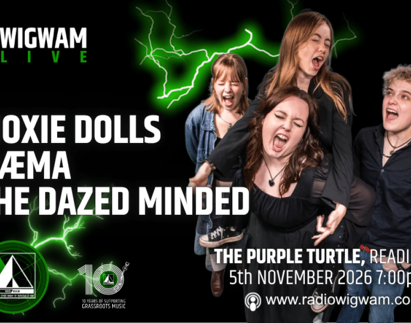 MOxie Dolls, Naema, The Dazed Minded at the Purple Turtle Gig banner