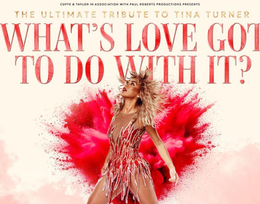 What's Love Got To Do With It?