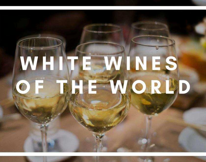 Four glasses of white wine with bold white text "white wines of the world"
