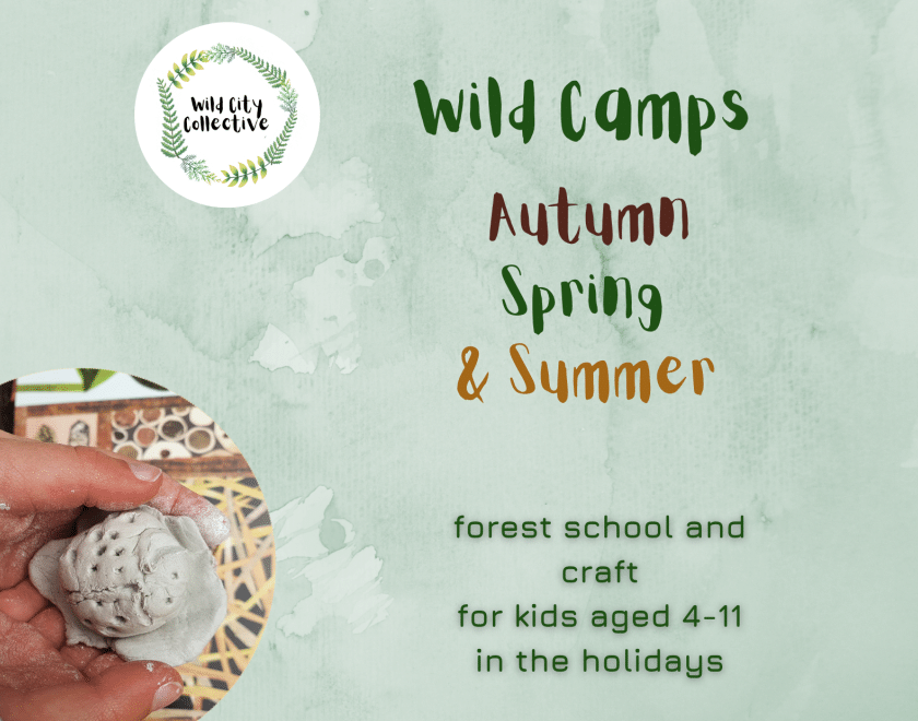 Wild Camp