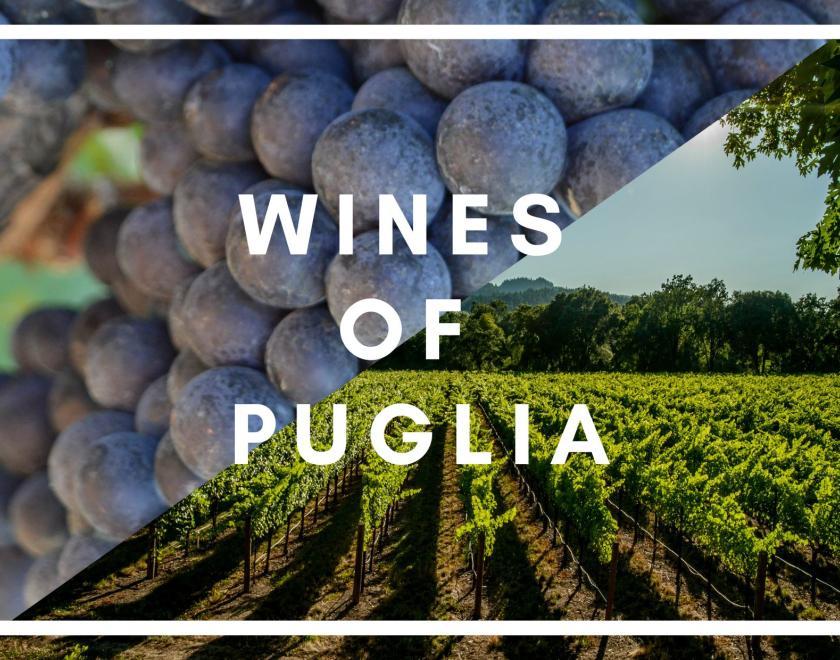 Grapes and fields in Puglia