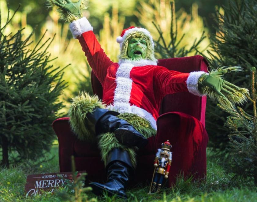 The image shows The Grinch sat in a chair dressed in a Christmas suit in the middle of a forest.