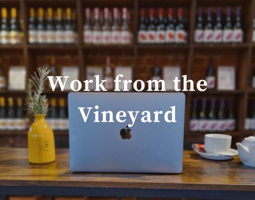 Working at the vineytard