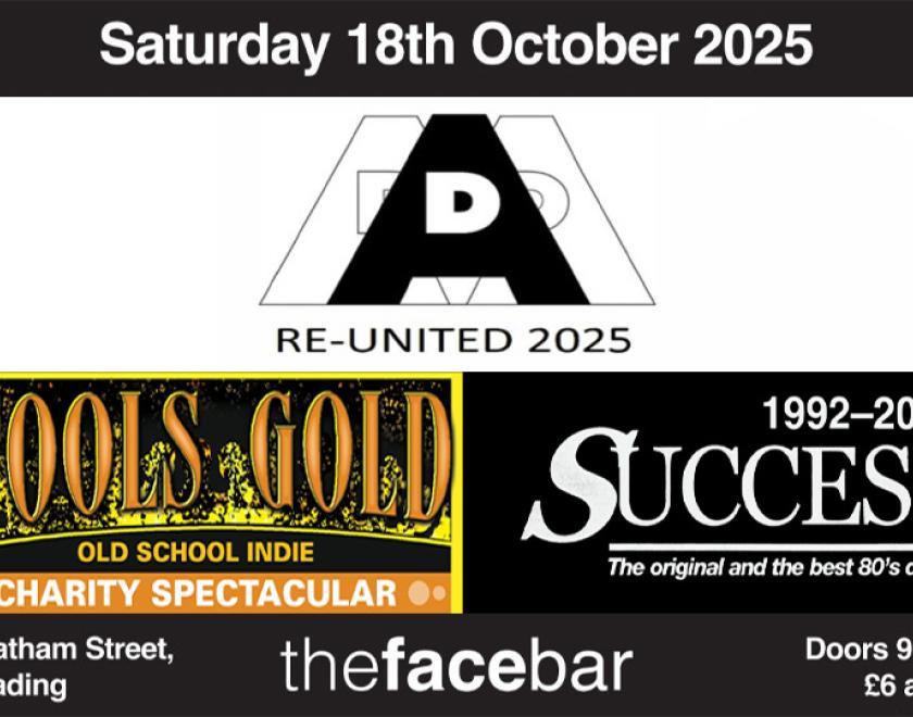 Poster for AD Reuinted with logos for the After Dark, Fools Gold and success