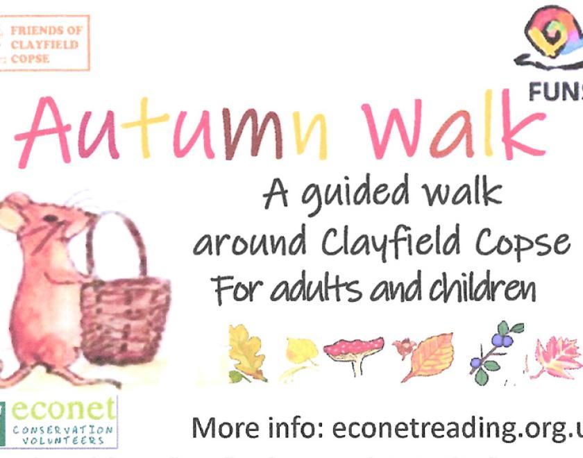 Clayfield Copse Autumn Walk