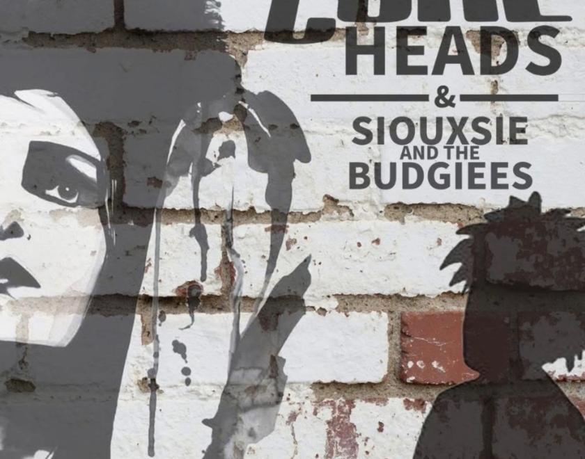 Illustration Portrait of Siouxsie Sioux & Robert Smith 