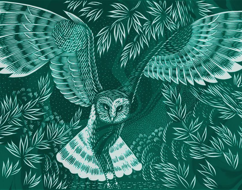 Daughter of the Water EP Launch