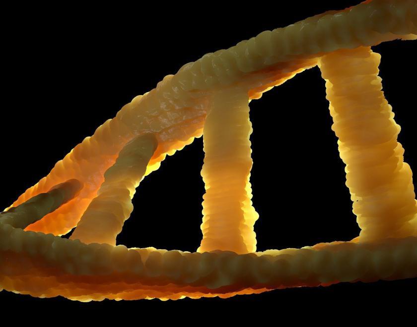 image of DNA helix