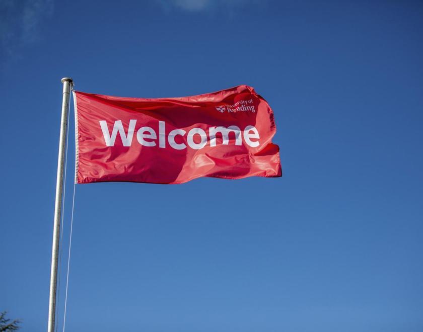 Reading University flag