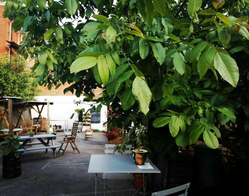 Green leaves of a walnut tree dominate the right-hand foreground, tables and chairs of a pub garden are behind and left