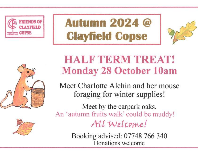 Half-Term fun at Clayfield Copse