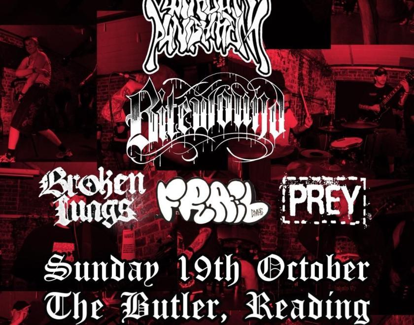 Poster for Shadow Promotions DIY X Repulsed present: A Hardcore Matinee featuring the band names and details in fotns that are really difficult to read