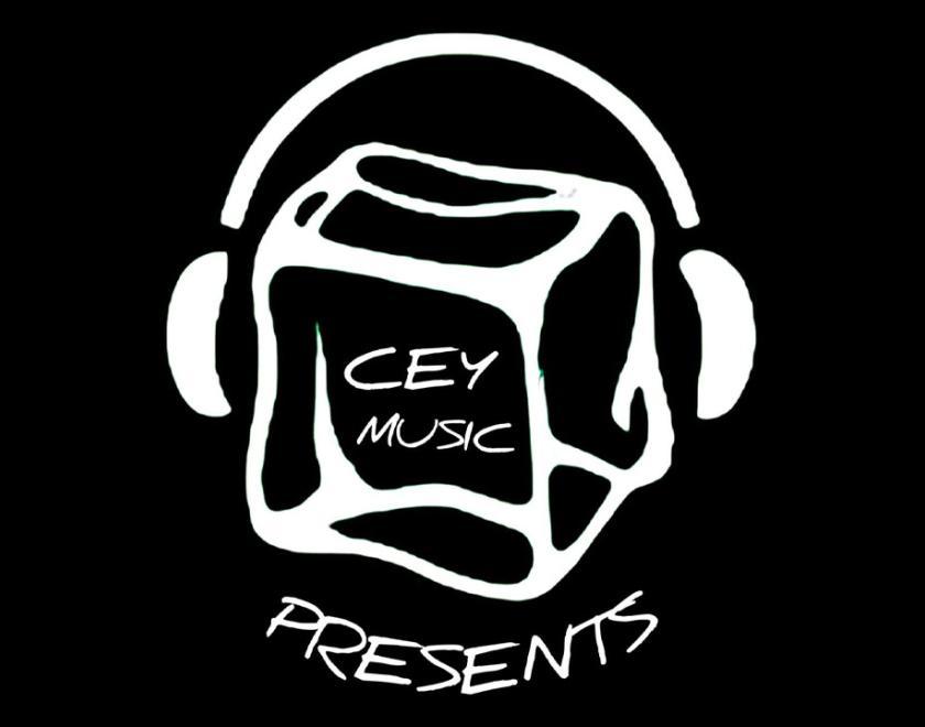 Icey Music logo